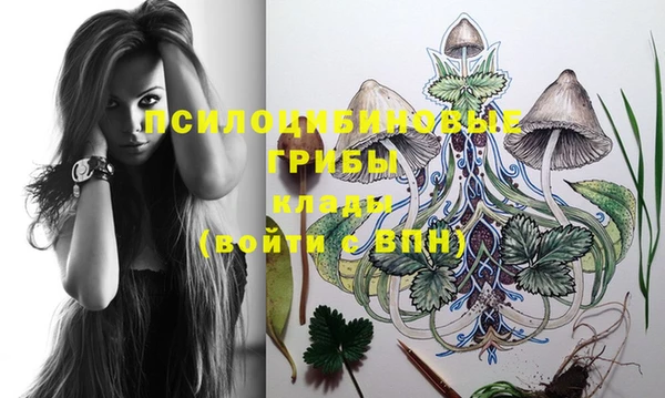 молекула духа Алексеевка
