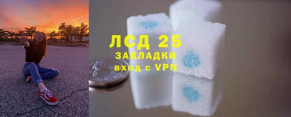 твердый Арсеньев