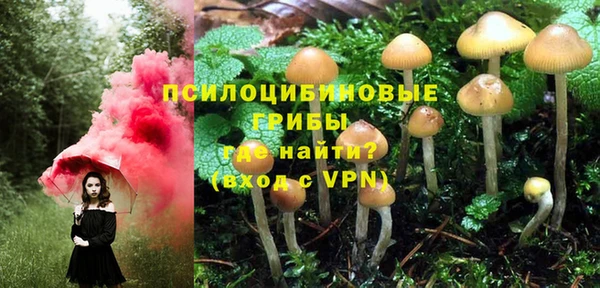 твердый Арсеньев